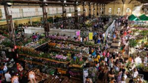 Interface Comunicação divulga oito eventos simultaneamente